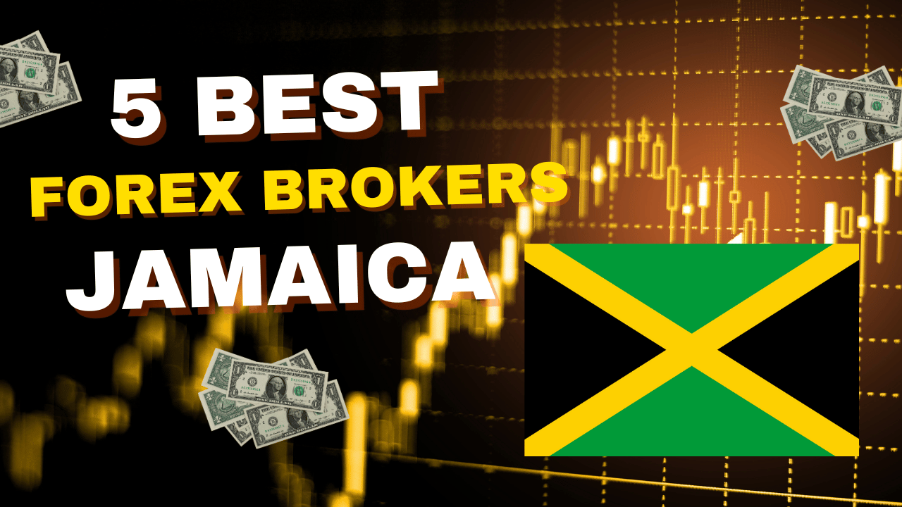 Best Forex Brokers in Jamaica for 2024